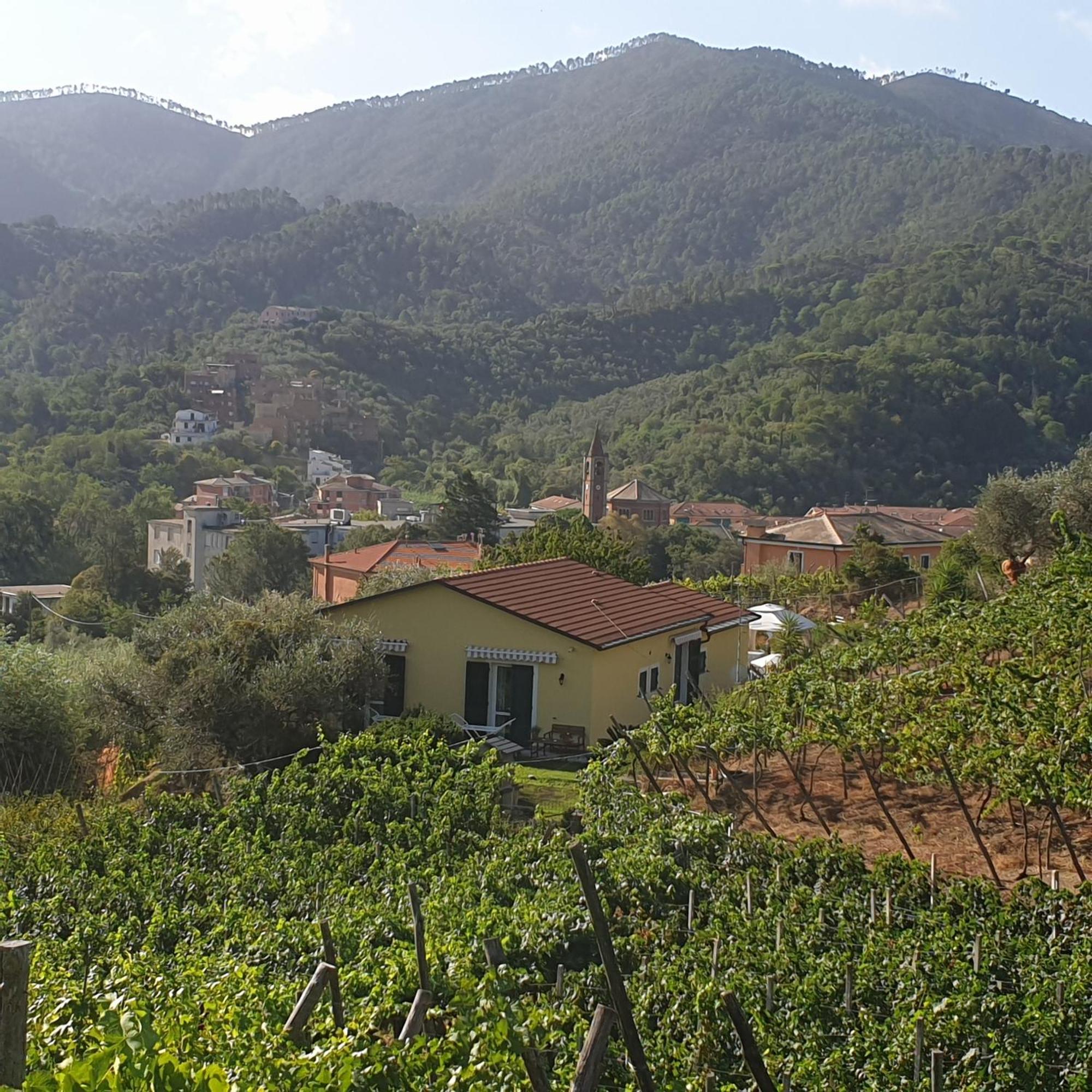 Agriturismo La Collina Verde Levanto Exterior foto